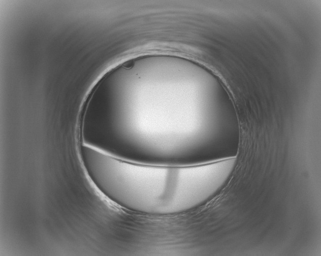 X0000071331531200606230751