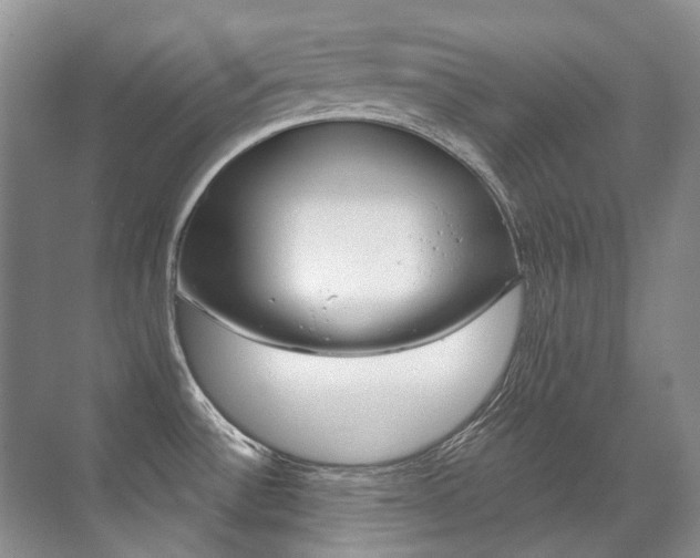 X0000071331532200606230751