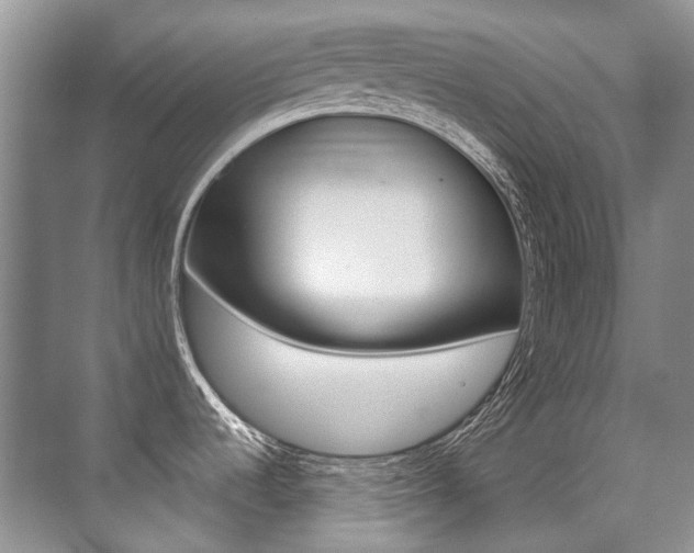 X0000071331536200606230751