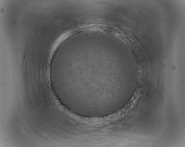 X0000071330006200606231144