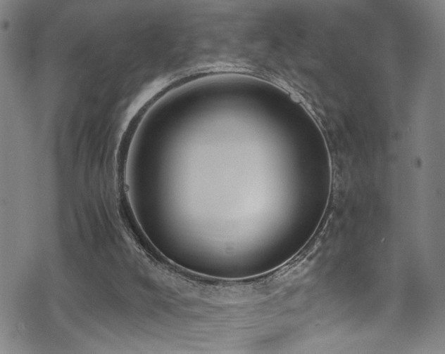 X0000071330008200606231144