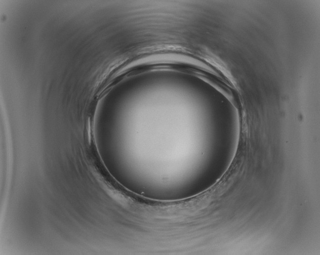 X0000071330013200606231144