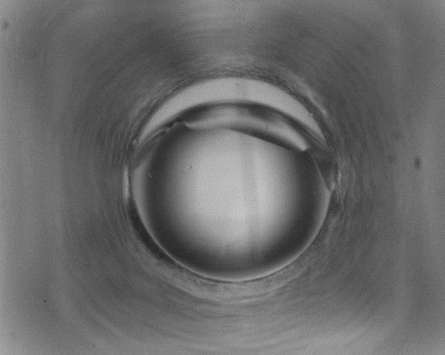 X0000071330027200606231143