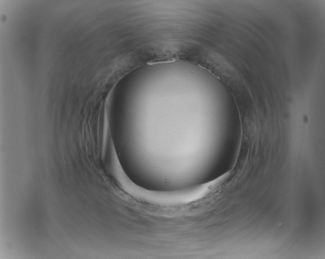 X0000071330037200606231143
