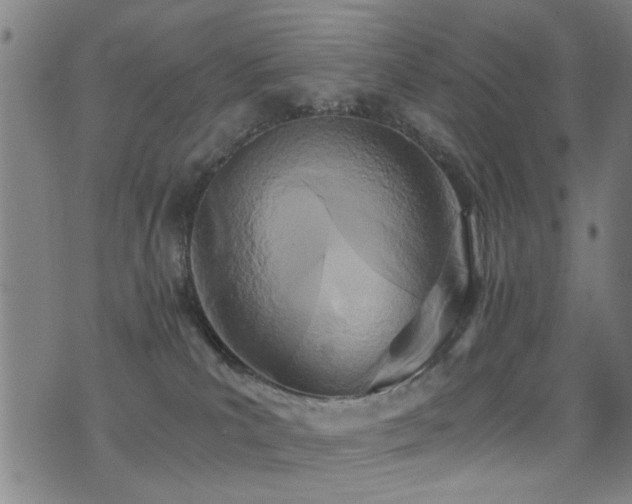 X0000071330039200606231143