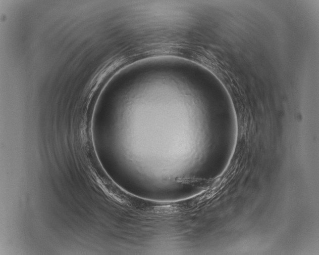 X0000071330050200606231142