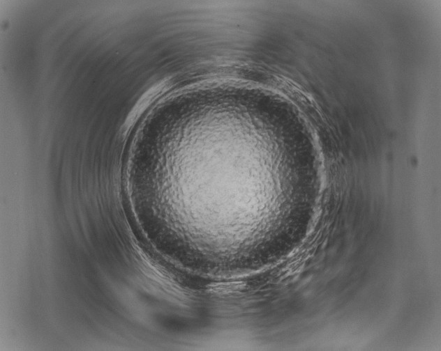 X0000071330051200606231142