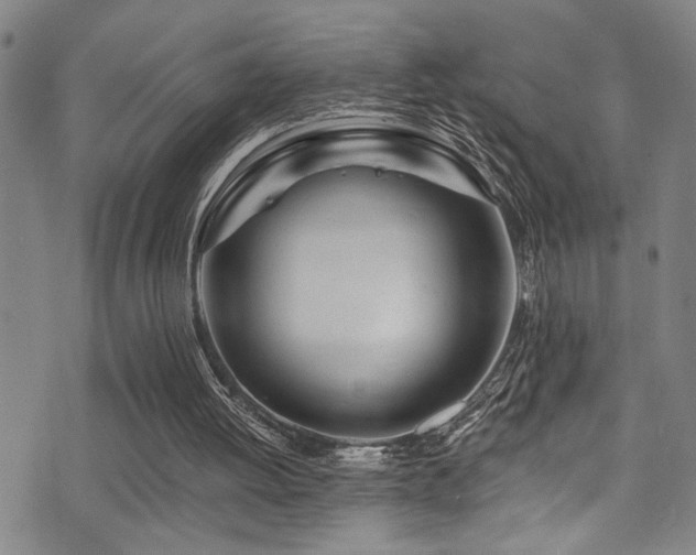 X0000071330052200606231142