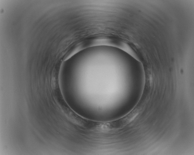 X0000071330080200606231143