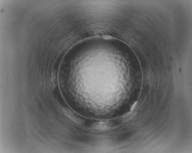 X0000071330082200606231143
