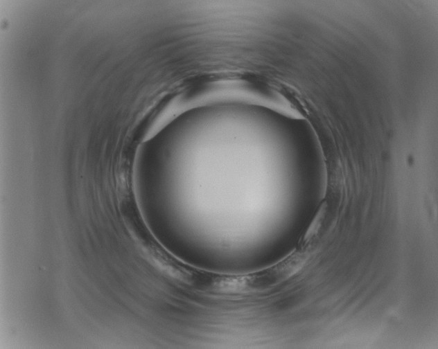 X0000071330084200606231143