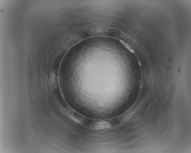 X0000071330087200606231143
