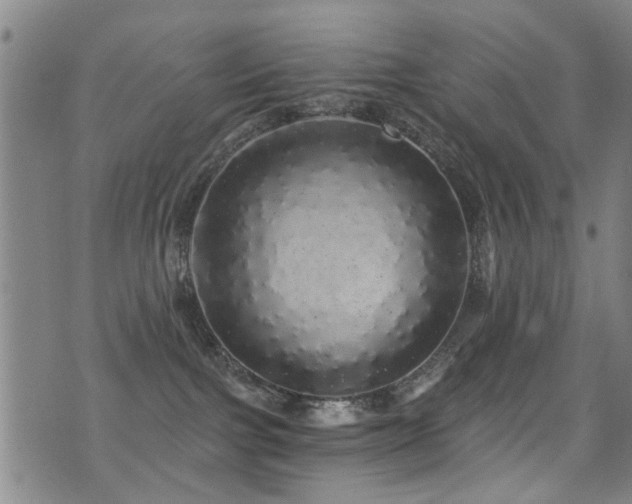 X0000071330091200606231143