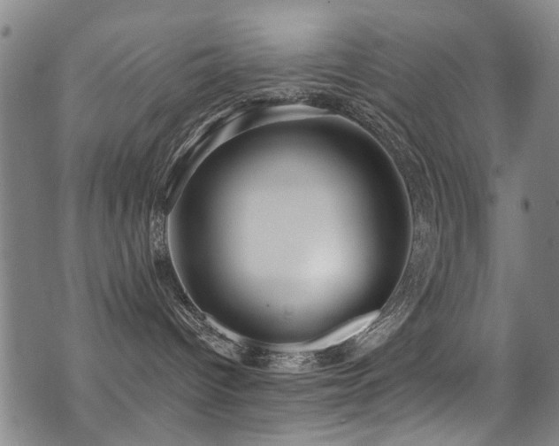 X0000071330096200606231143