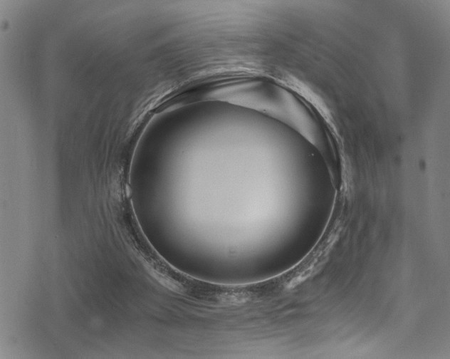 X0000071330105200606231142