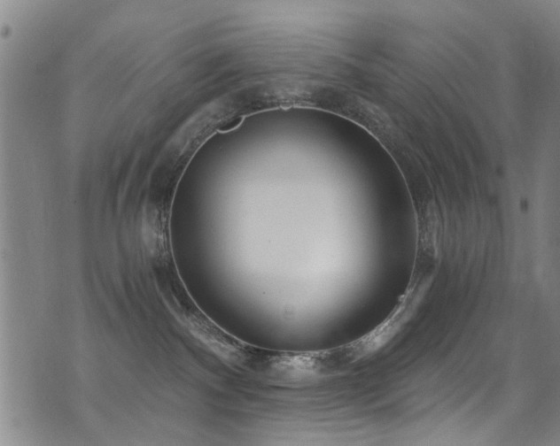 X0000071330140200606231142
