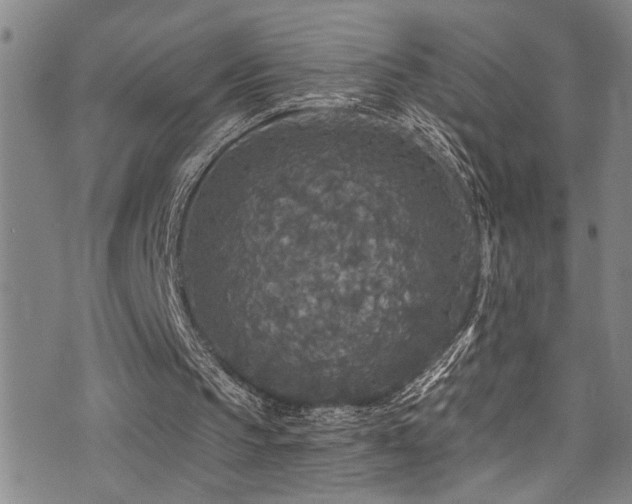 X0000071330145200606231141