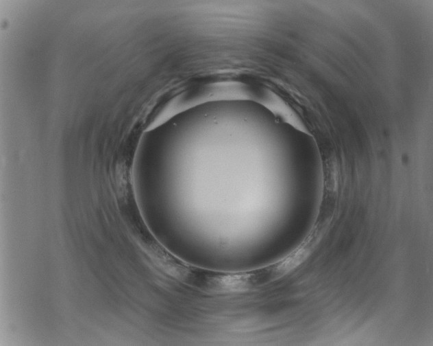 X0000071330184200606231141