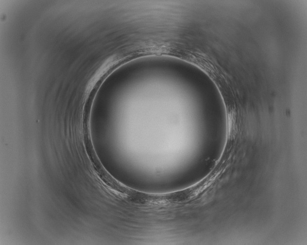 X0000071330195200606231141