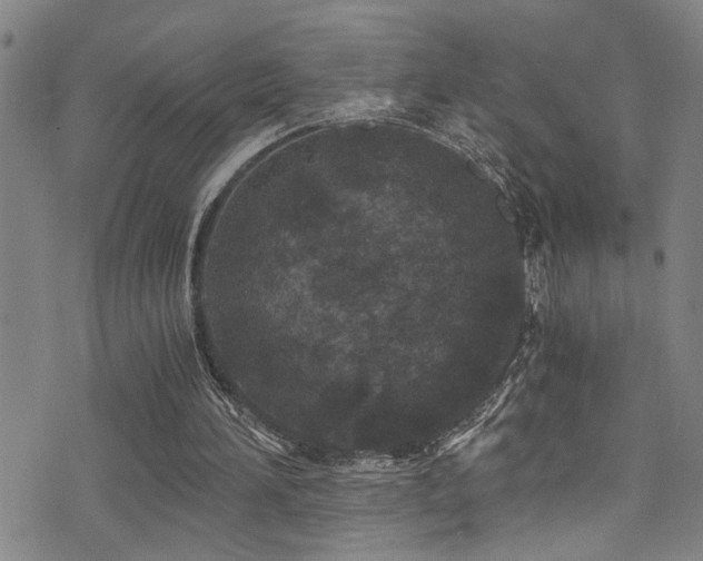 X0000071330196200606231141