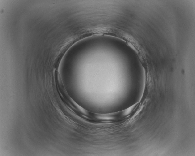 X0000071330201200606231141