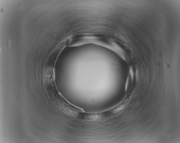 X0000071330237200606231140