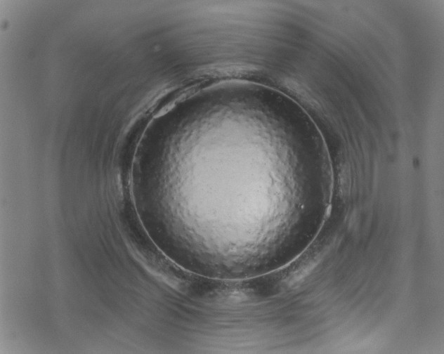 X0000071330254200606231139