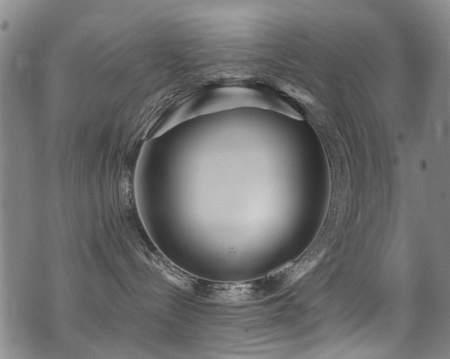 X0000071330288200606231140