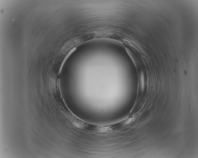 X0000071330333200606231139