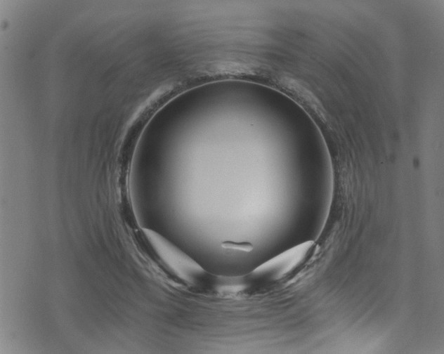 X0000071330395200606231138