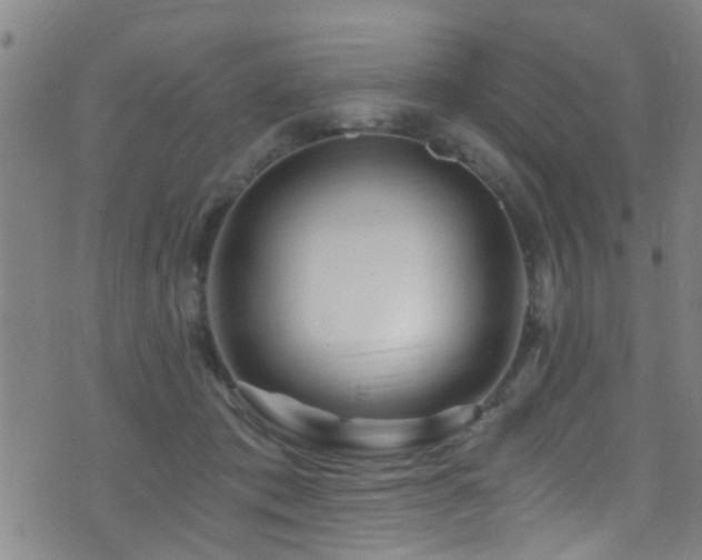 X0000071330413200606231137