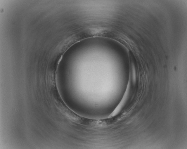 X0000071330421200606231137