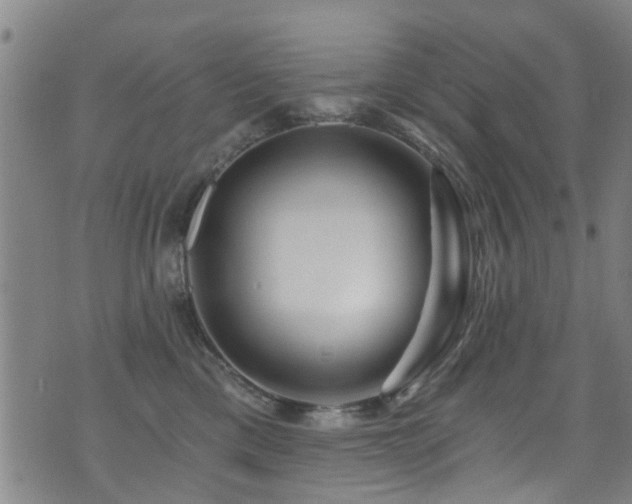 X0000071330425200606231137