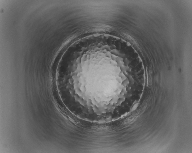 X0000071330435200606231136