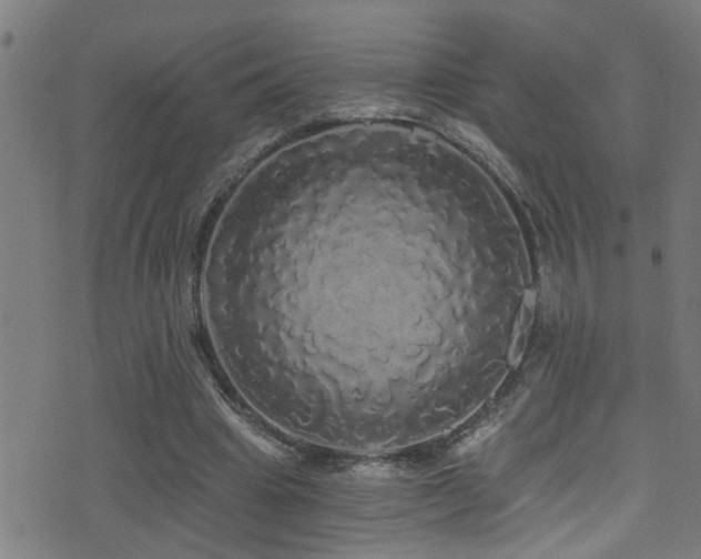 X0000071330441200606231136