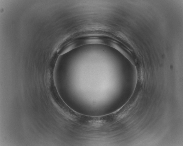 X0000071330448200606231136