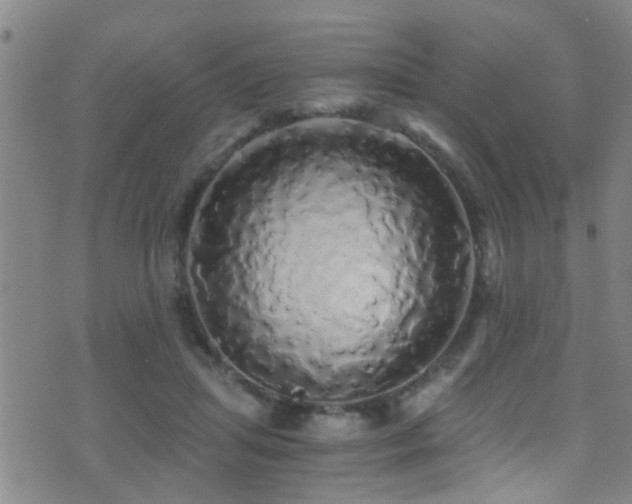 X0000071330455200606231137