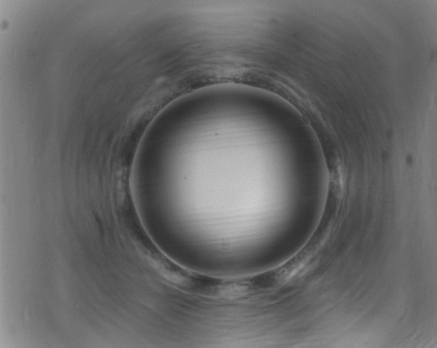 X0000071330462200606231137