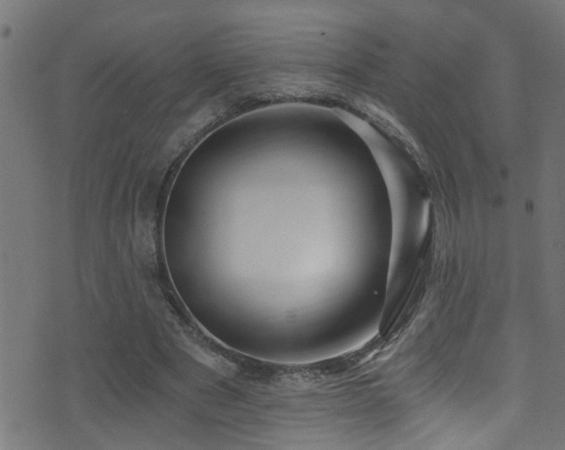 X0000071330489200606231136