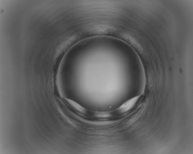 X0000071330493200606231136