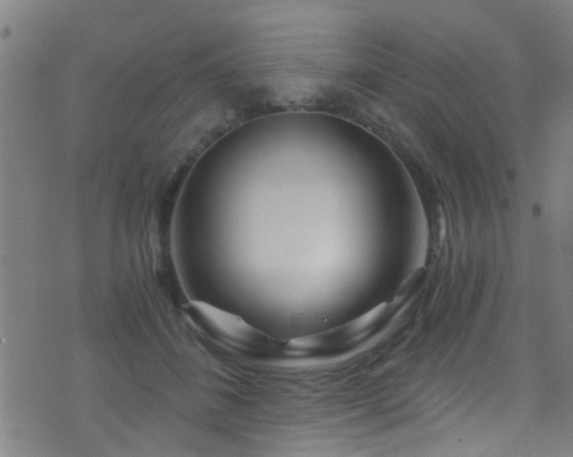 X0000071330508200606231136