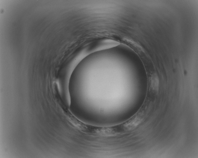 X0000071330517200606231136