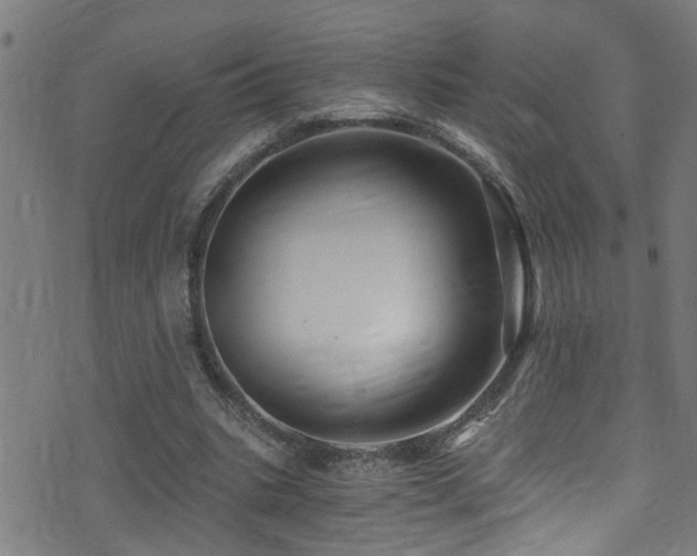 X0000071330535200606231135