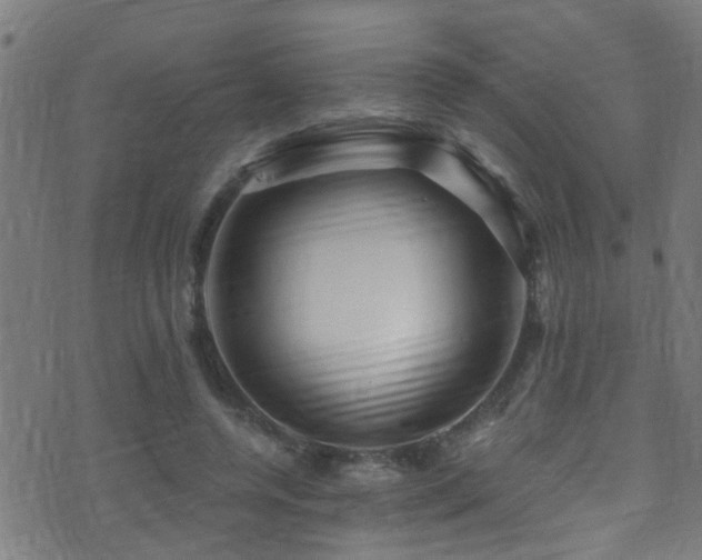 X0000071330544200606231135