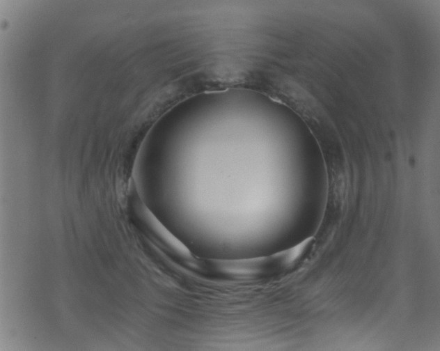 X0000071330609200606231134