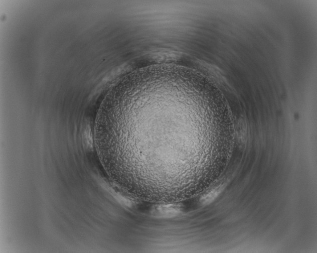 X0000071330622200606231134