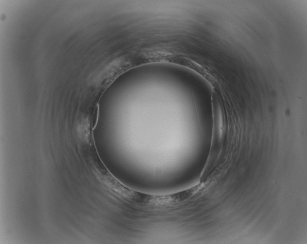X0000071330767200606231132