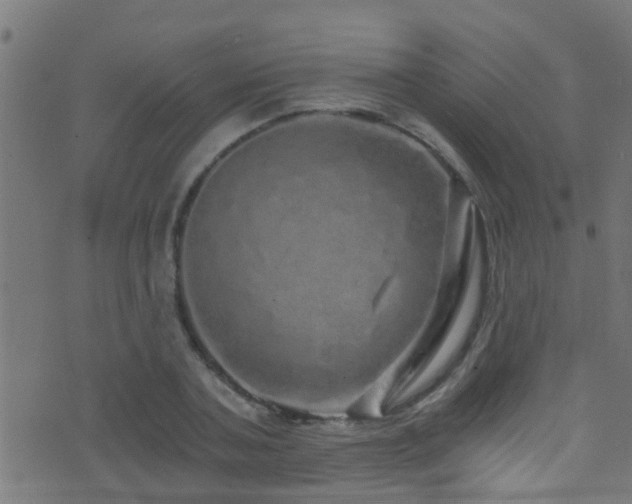 X0000071330787200606231131