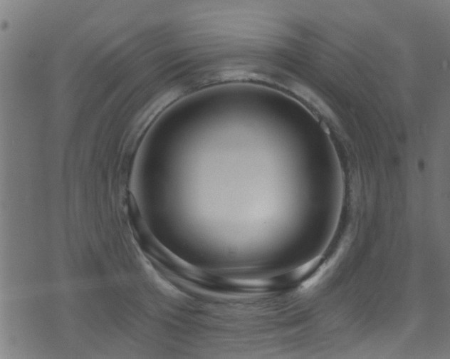 X0000071330801200606231131
