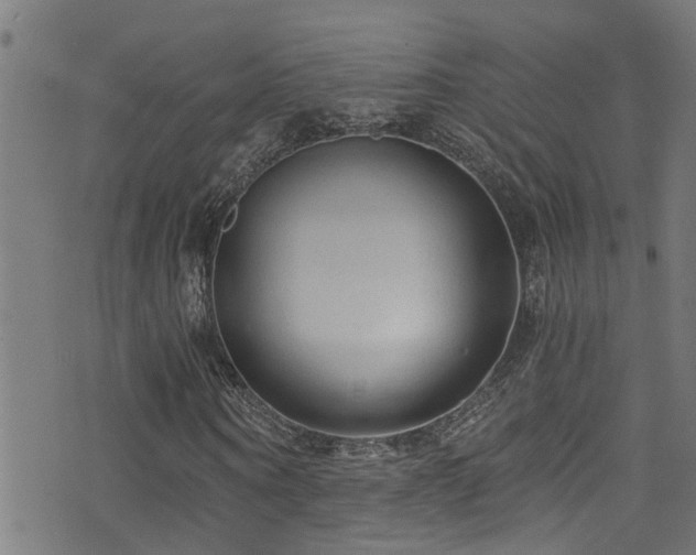 X0000071330866200606231130